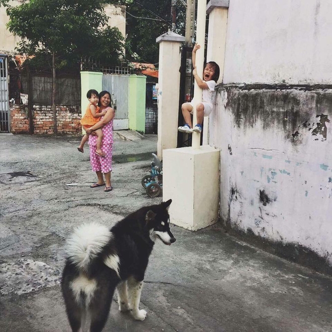 cô bé sợ chó, cô bé trèo lên cột vì sợ chó