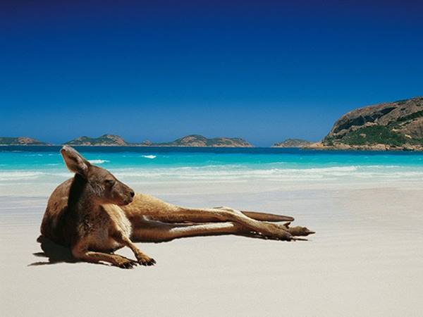 Kinh nghiệm du lịch Úc trọn vẹn đầy đủ nhất