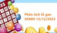 Phân tích lô gan XSMN 13/12/2023