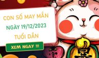 Con số may mắn tuổi Dần 19/12/2023 – Hôm nay đánh con gì?