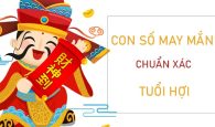 Con số may mắn tuổi Hợi 3/12/2023 – Hôm nay đánh con gì?