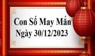 Dự đoán con số may mắn tuổi Mão hôm nay 30/12/2023