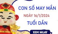 Con số may mắn tuổi Dần 16/1/2024 – Hôm nay đánh con gì?