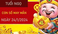 Con số may mắn tuổi Ngọ 24/1/2024 – Hôm nay đánh con gì?