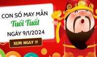 Con số may mắn tuổi Tuất hôm nay ngày 9/1/2024