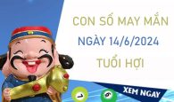 Con số may mắn tuổi Hợi 14/6/2024 trúng ngay giải đặc biệt