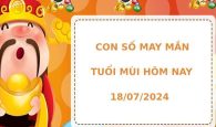 Con số may mắn tuổi Mùi hôm nay 18/7/2024 phát lộc