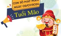 Con số may mắn tuổi Mão hôm nay ngày 2/7/2024