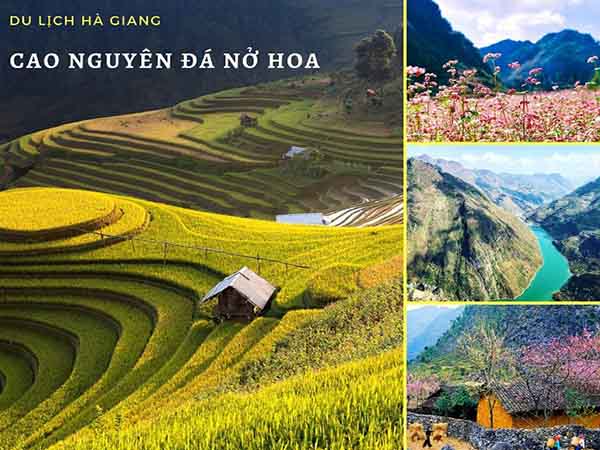 1. Hà Giang đẹp nhất vào tháng mấy?